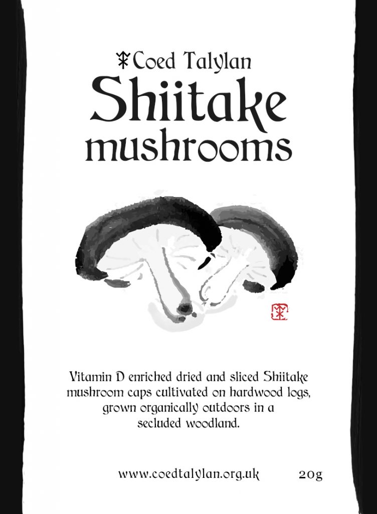 Shiitake Mushrooms Coed Talylan