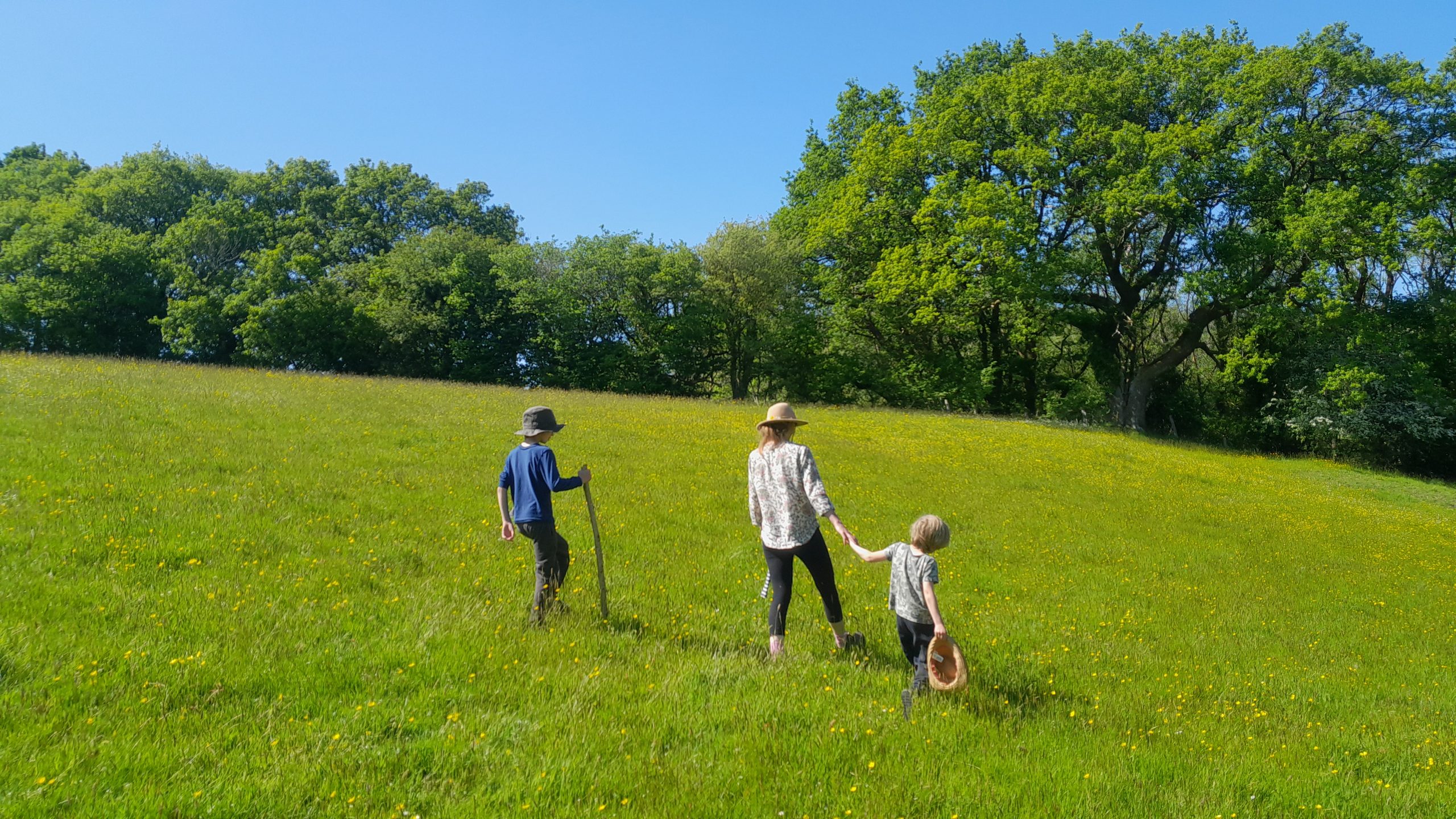 Woodland Smallholding & Self-Build Opportunity at Coed Talylan