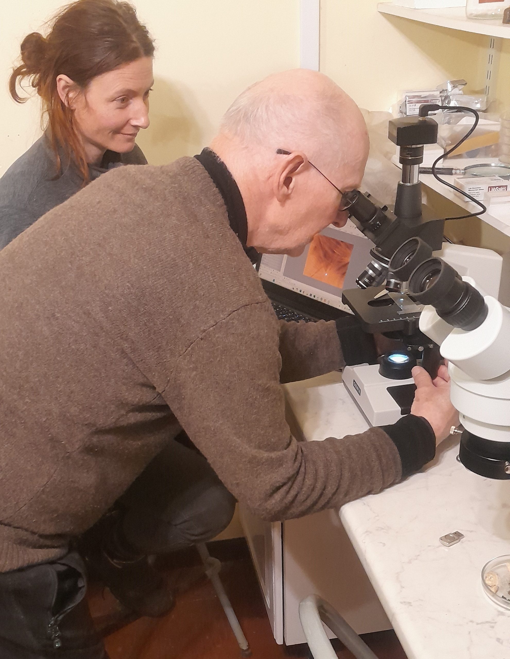 New Resources for Regional Fungi Groups